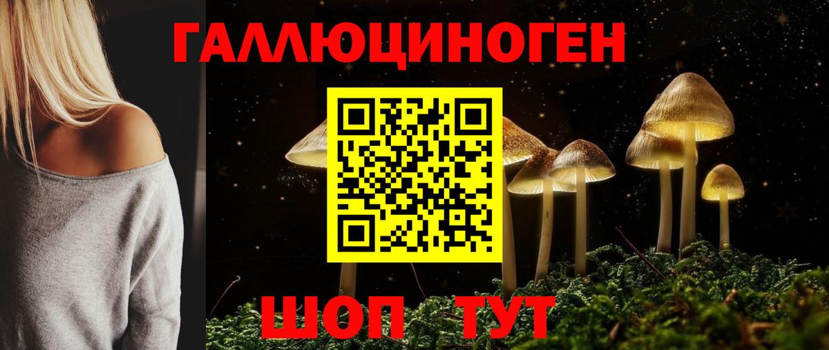 Костомукша  Псилоцибиновые грибы Magic Shrooms  Вход с VPN 